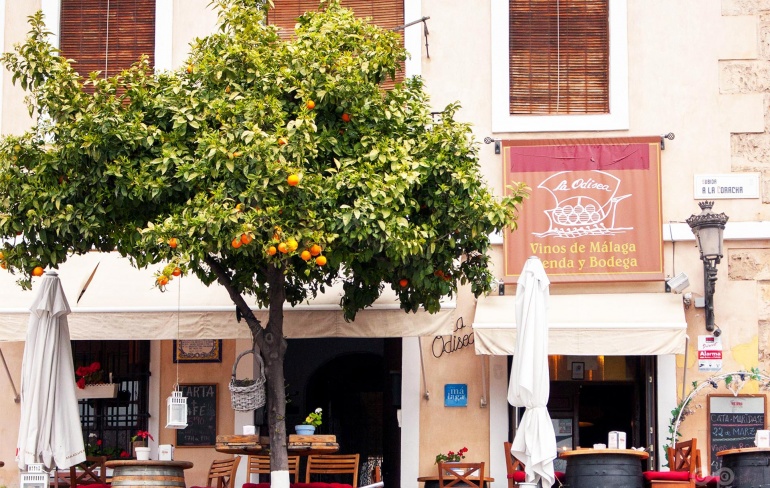 Ce poti vizita in Malaga in cateva ore