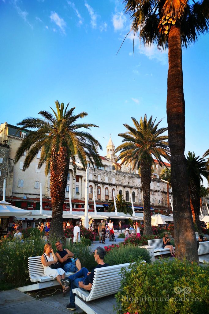 palmieri pe faleza din Split