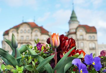 15 locuri de vizitat in Oradea și in imprejurimi